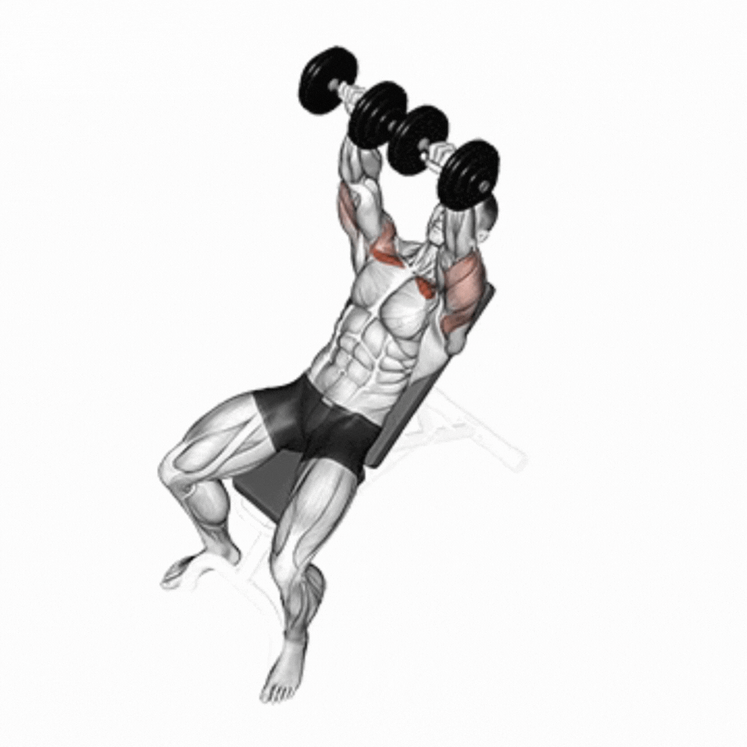 Incline Dumbbell Bench Press