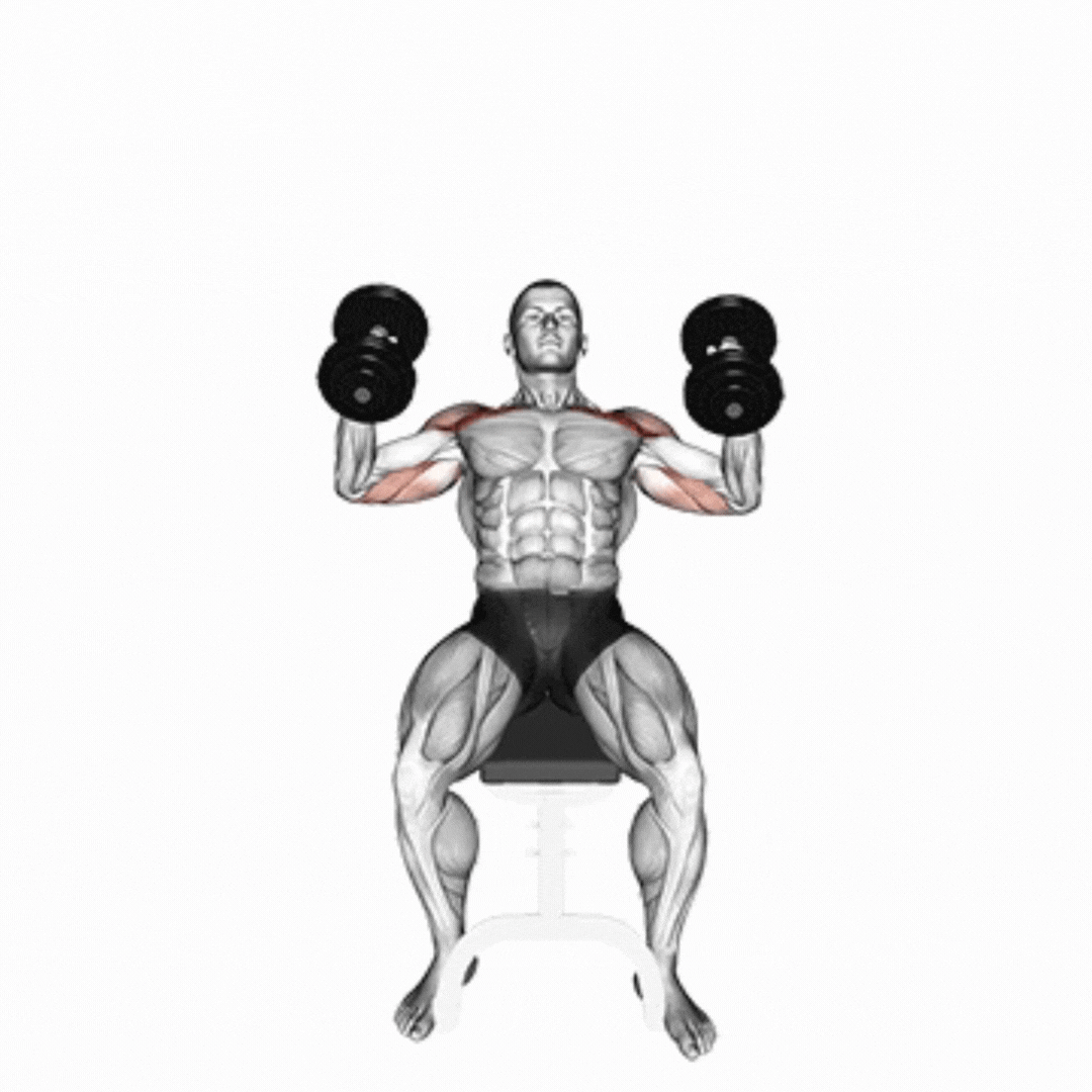 Incline Dumbbell Hammer Press