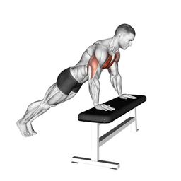 Incline Bench Push Up