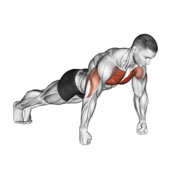 Knuckle Push Up