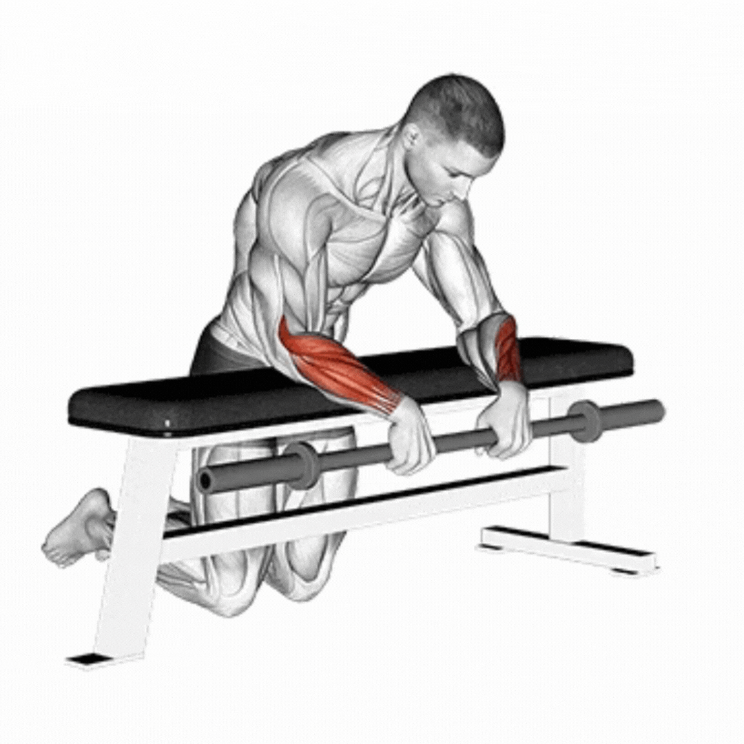 Barbell Reverse Wrist Curl with Bench