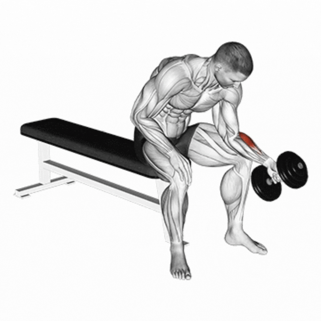 Dumbbell Seated Neutral Wrist Curl