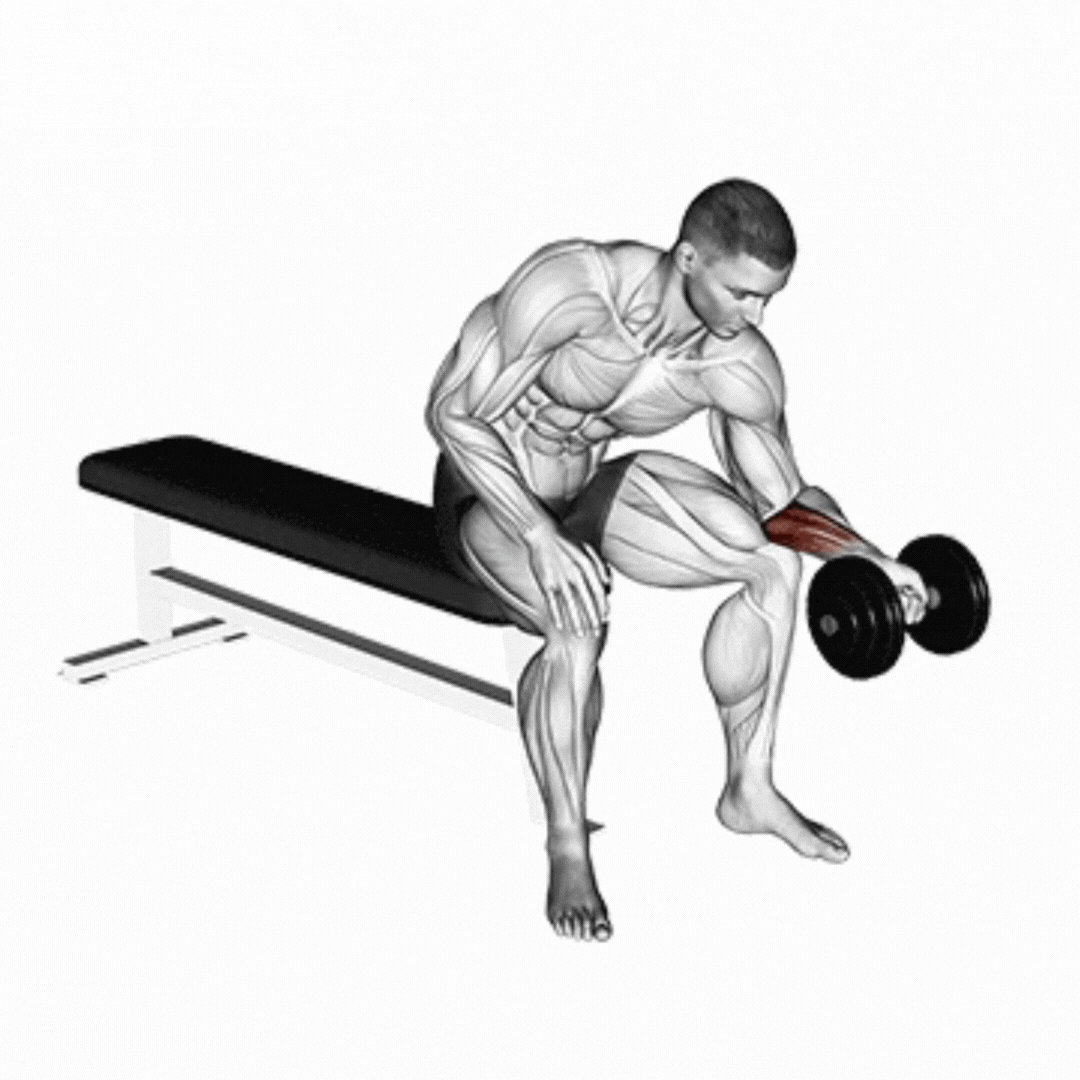 Dumbbell Wrist Curl