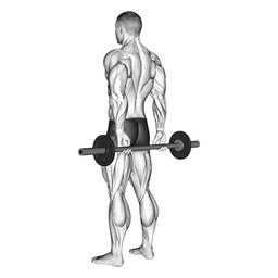 Behind Back Finger Curl