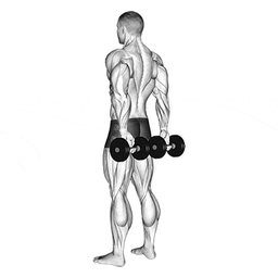 Behind Back Finger Dumbbell Curl
