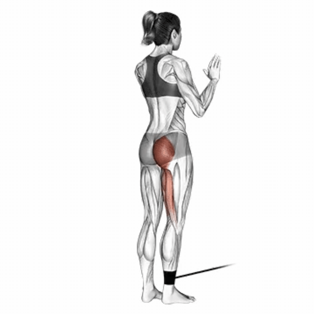 Band Standing Hip Extension