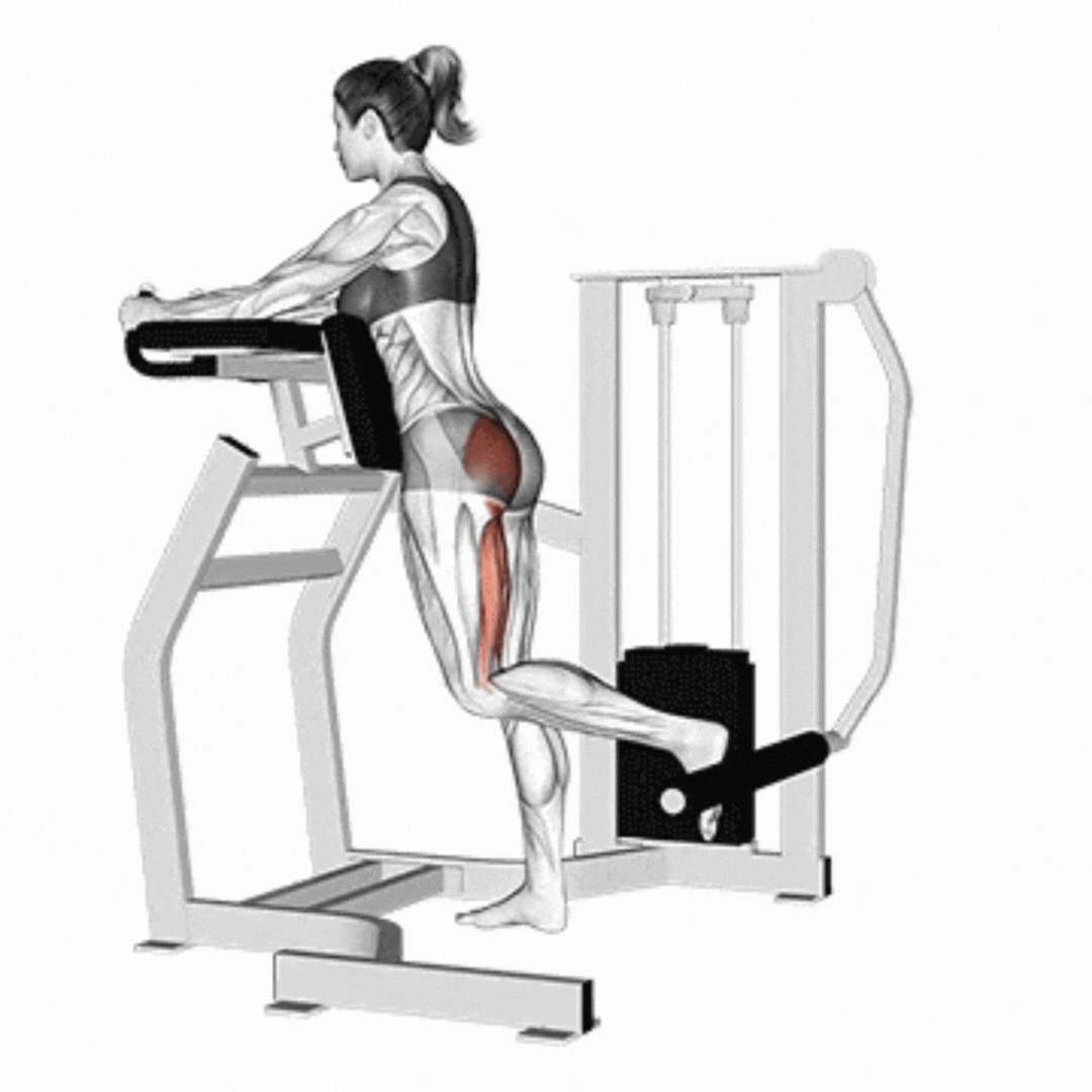 Lever Standing Hip Extension