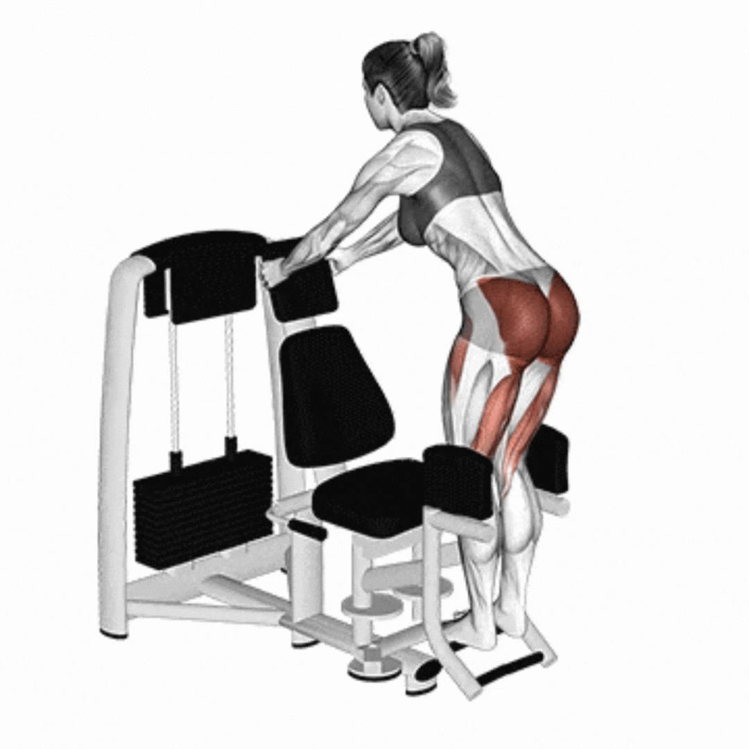 Squat on the Abductor Machine