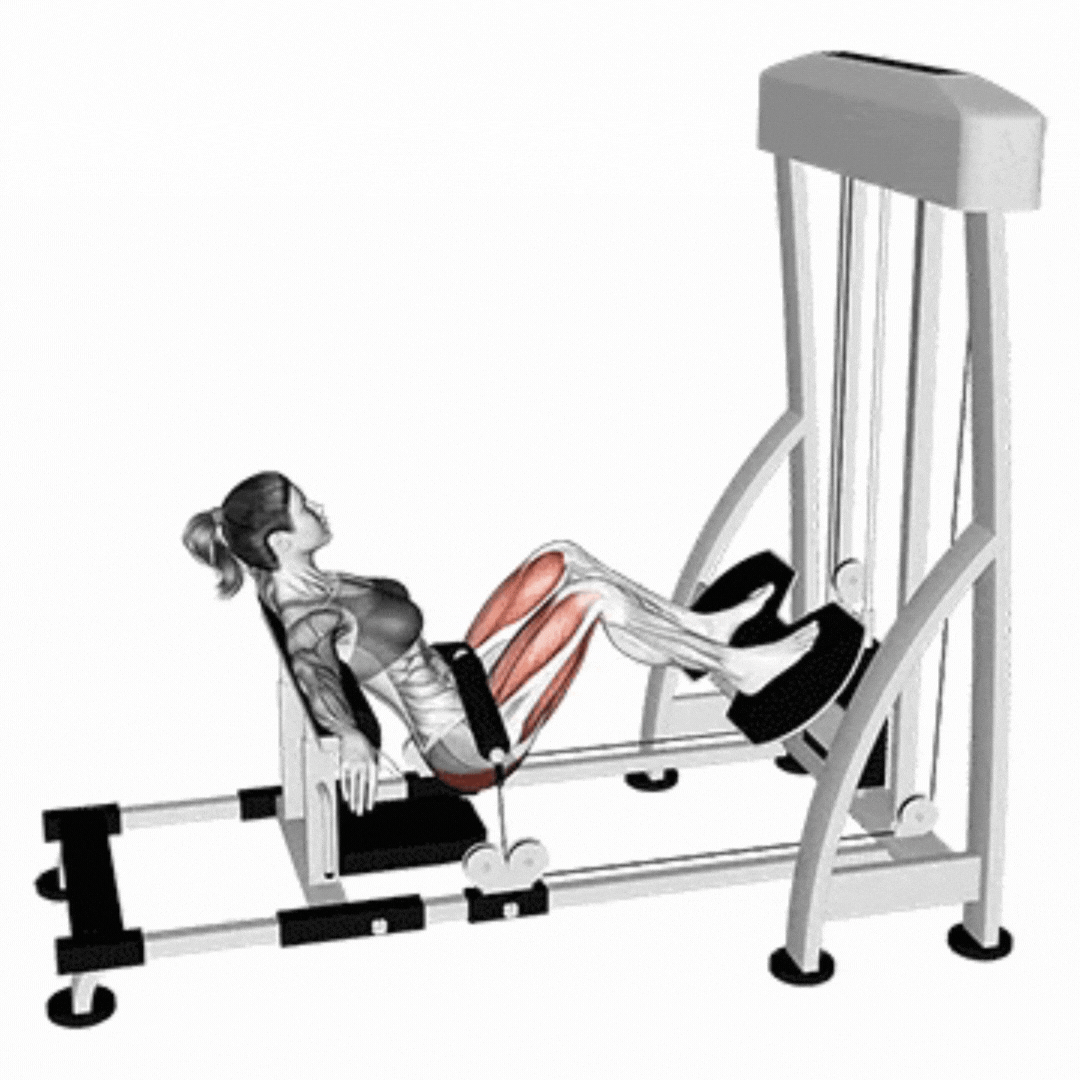 Hip Thrust Machine