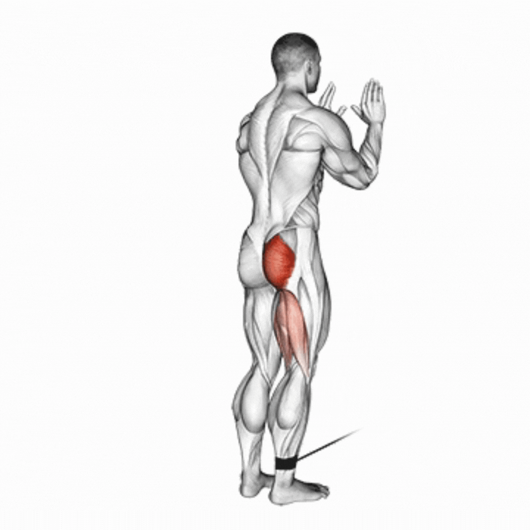 Cable Hip Extension