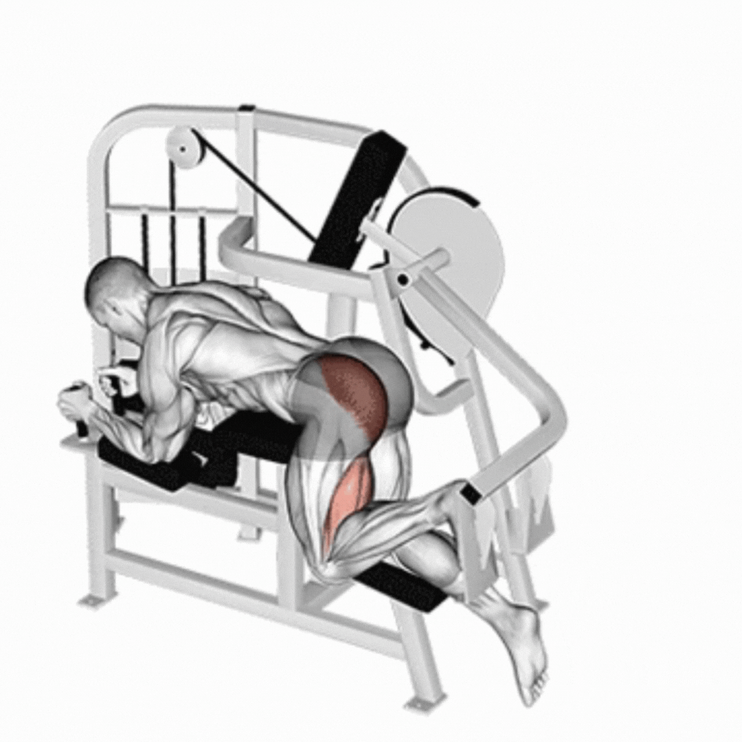 Glute Kickback Machine