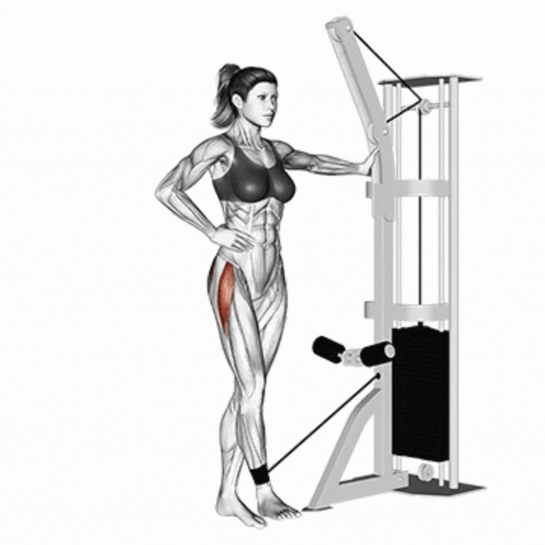 Cable Hip Abduction