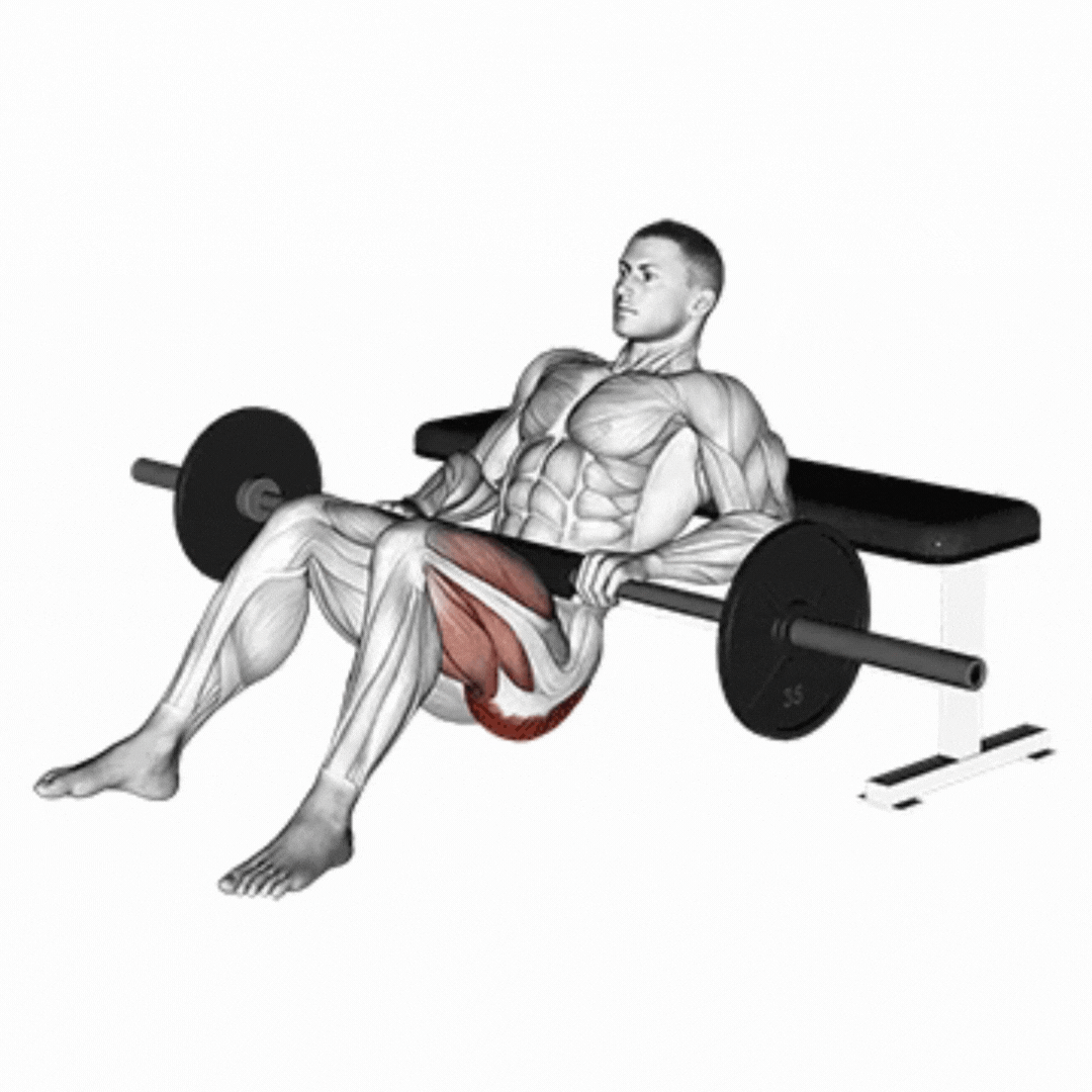 Barbell Hip Thrust