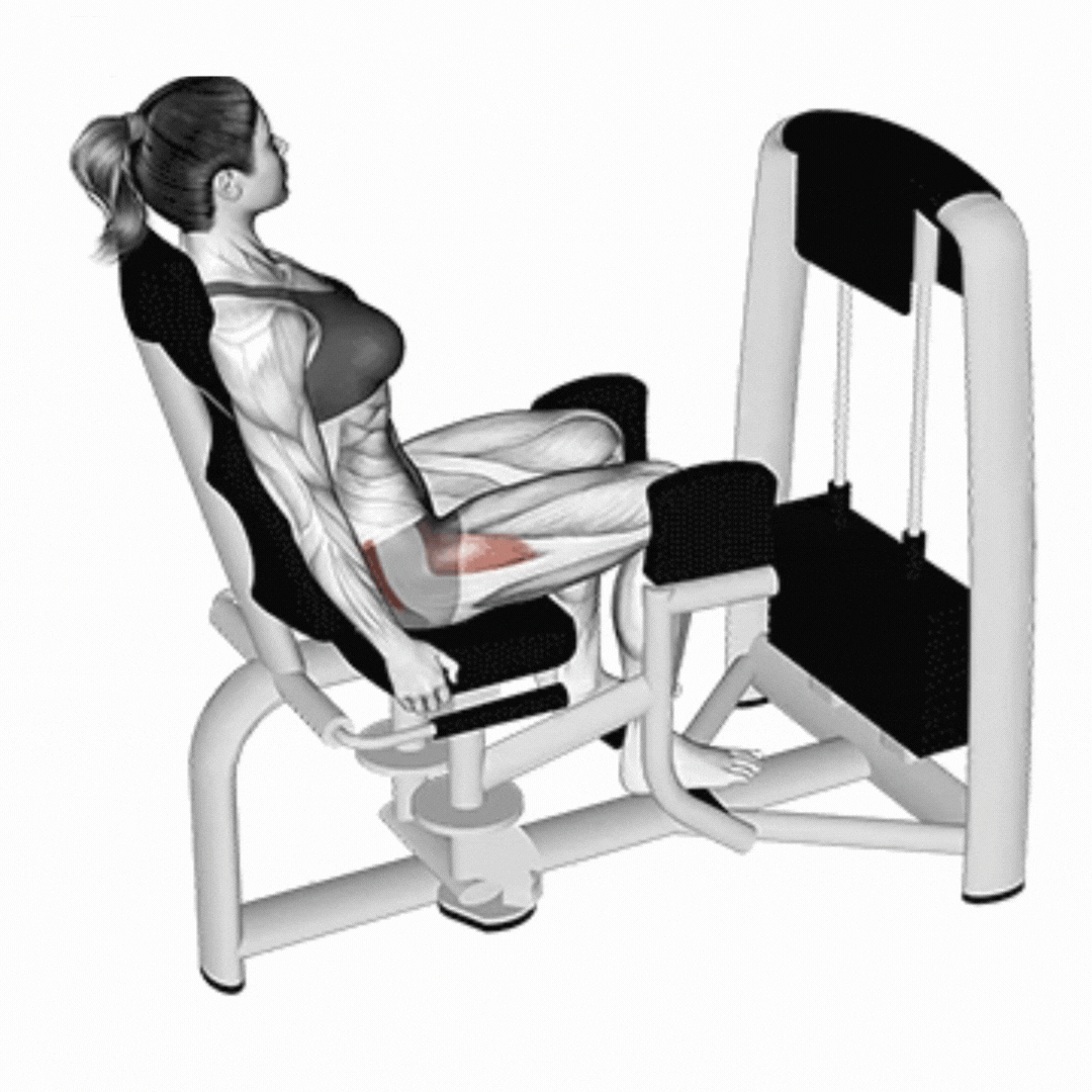 Seated Abduction Machine