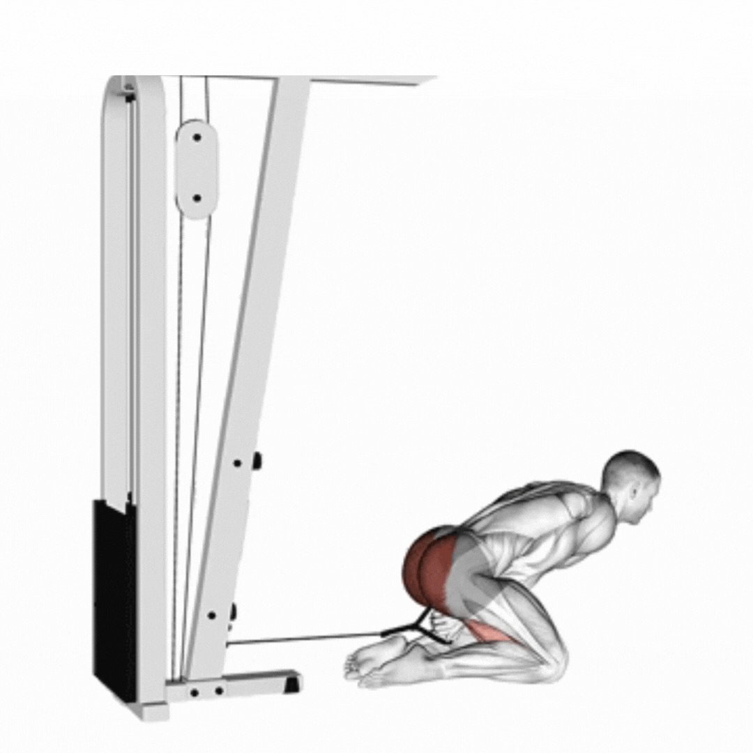 Cable Kneeling Pull Through