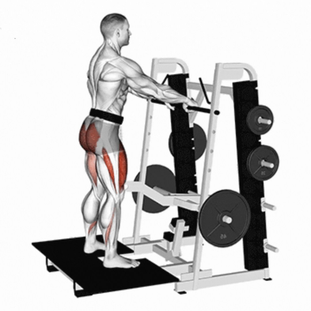 Belt Squat