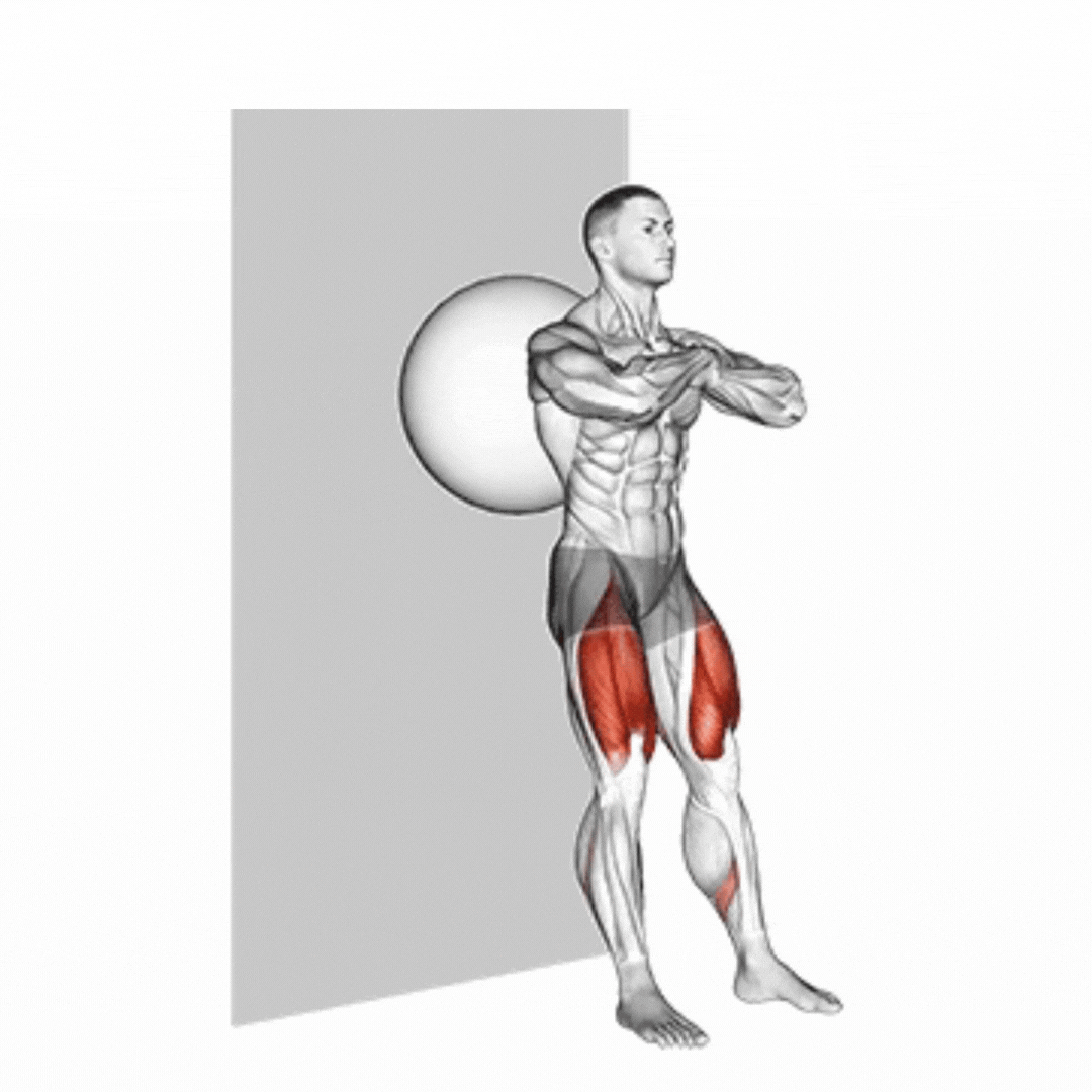Stability Ball Wall Sit