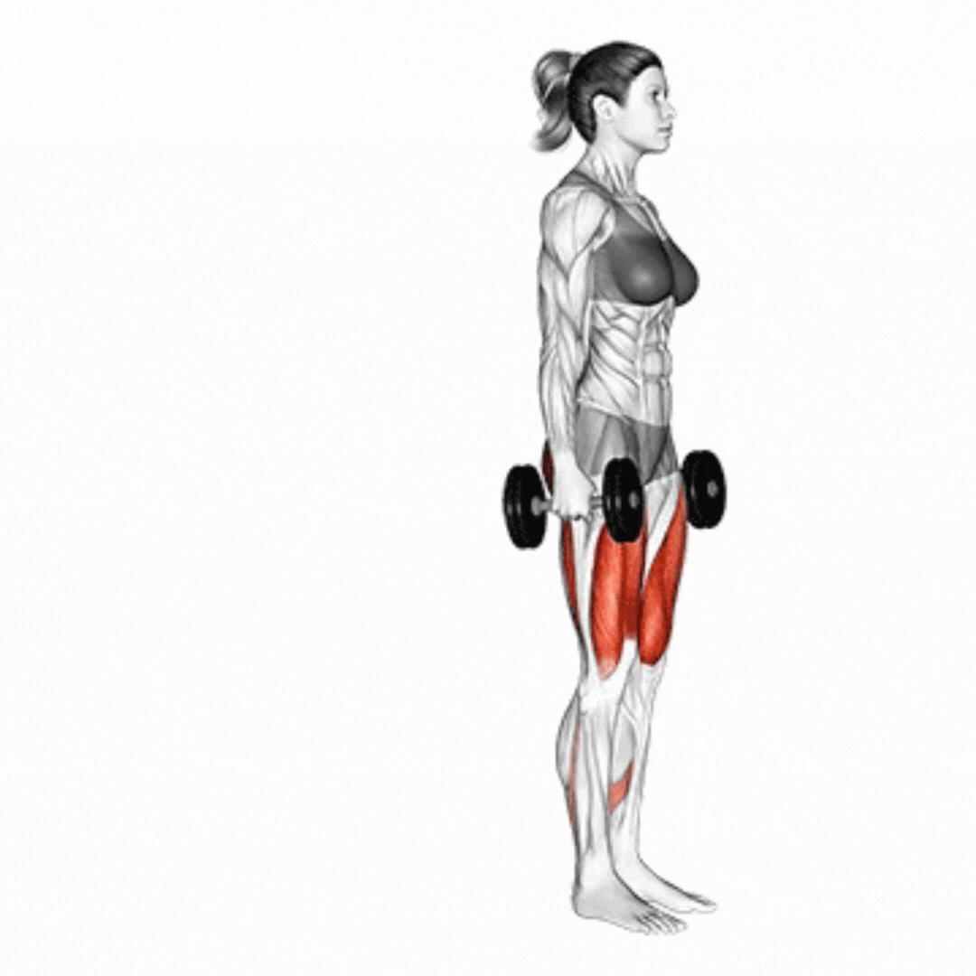 Dumbbell Reverse Lunge