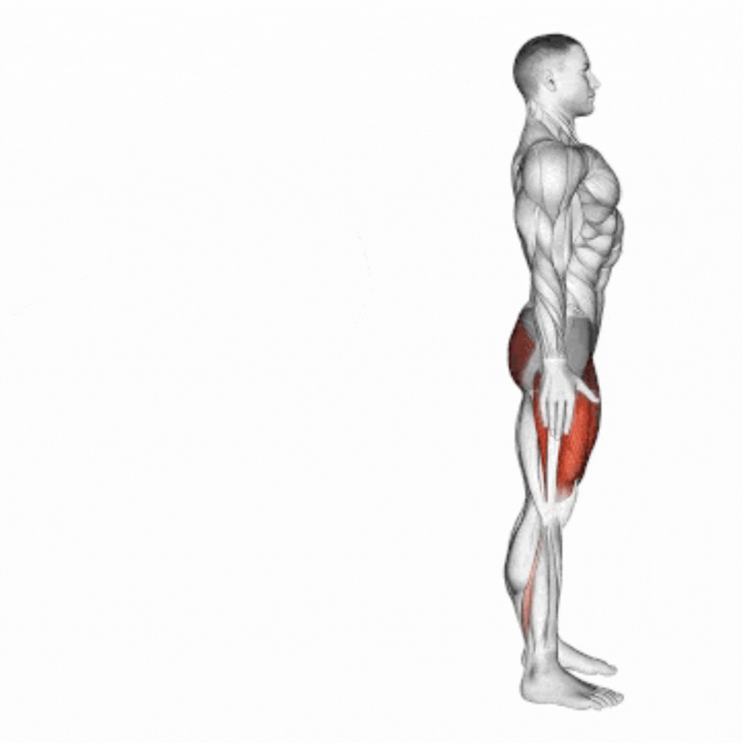 Bodyweight Reverse Lunge