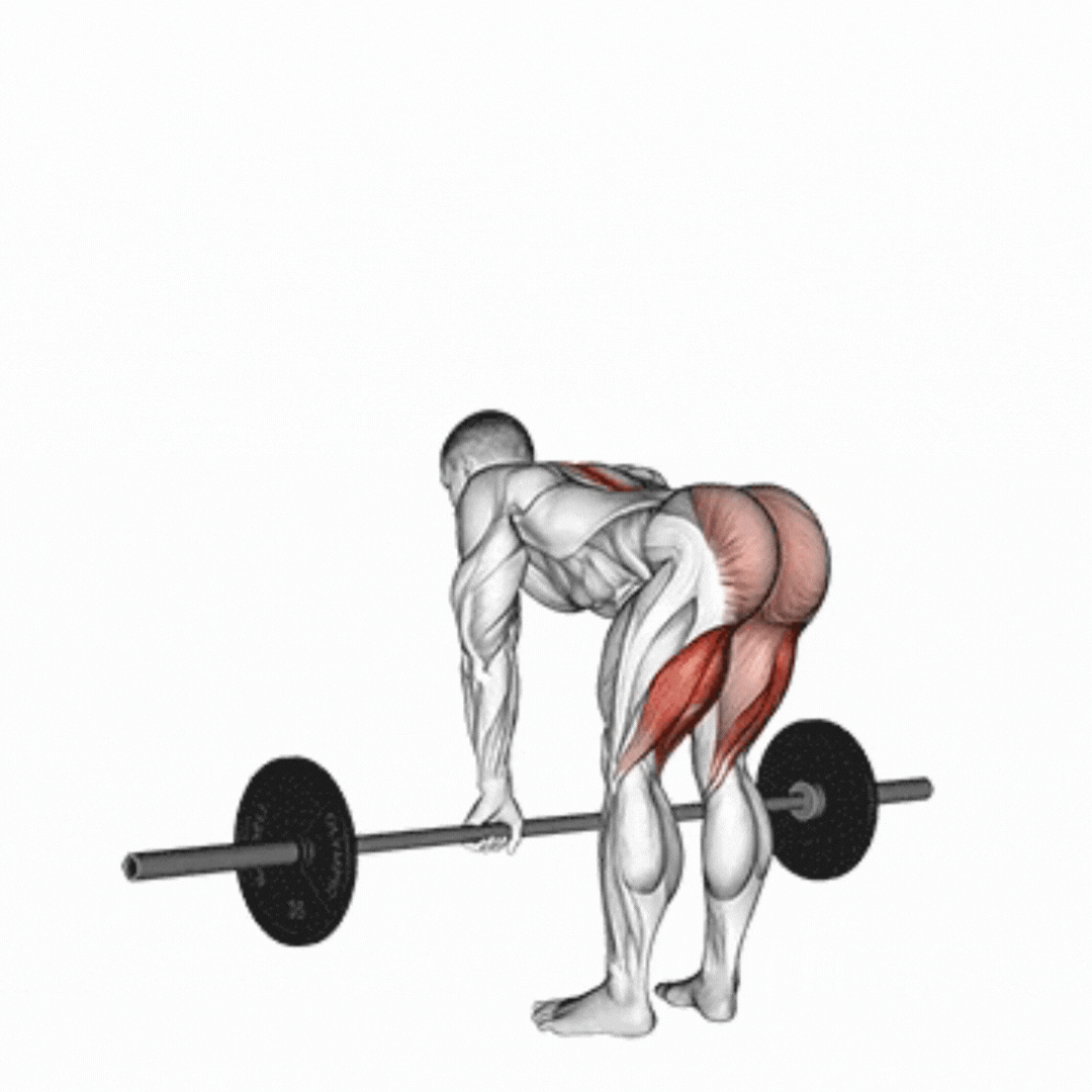 Stiff Leg Deadlift