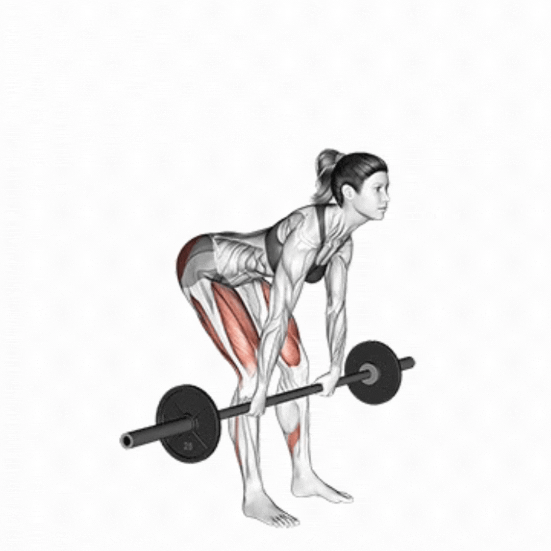Barbell Romanian Deadlift