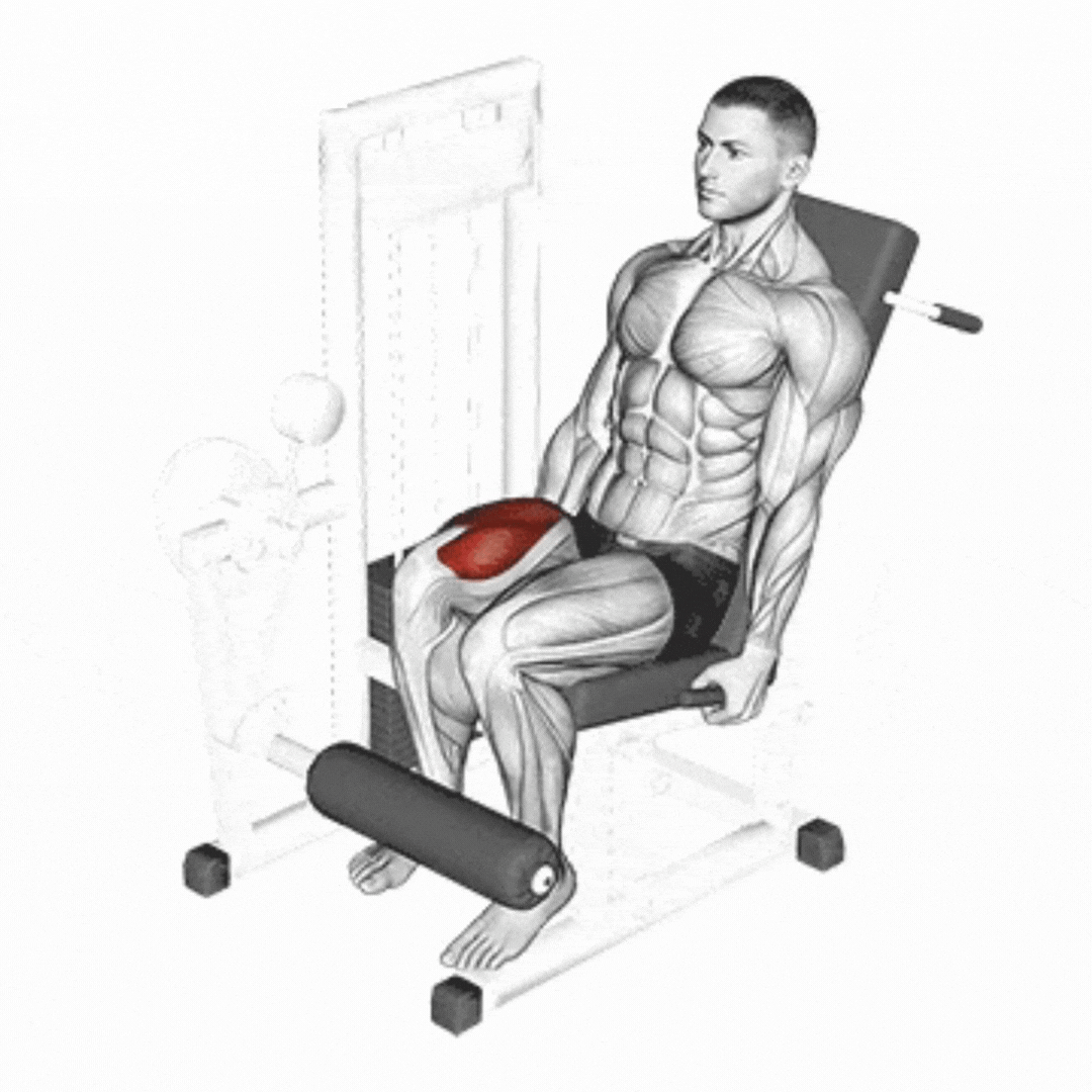 Seated One Leg Extension