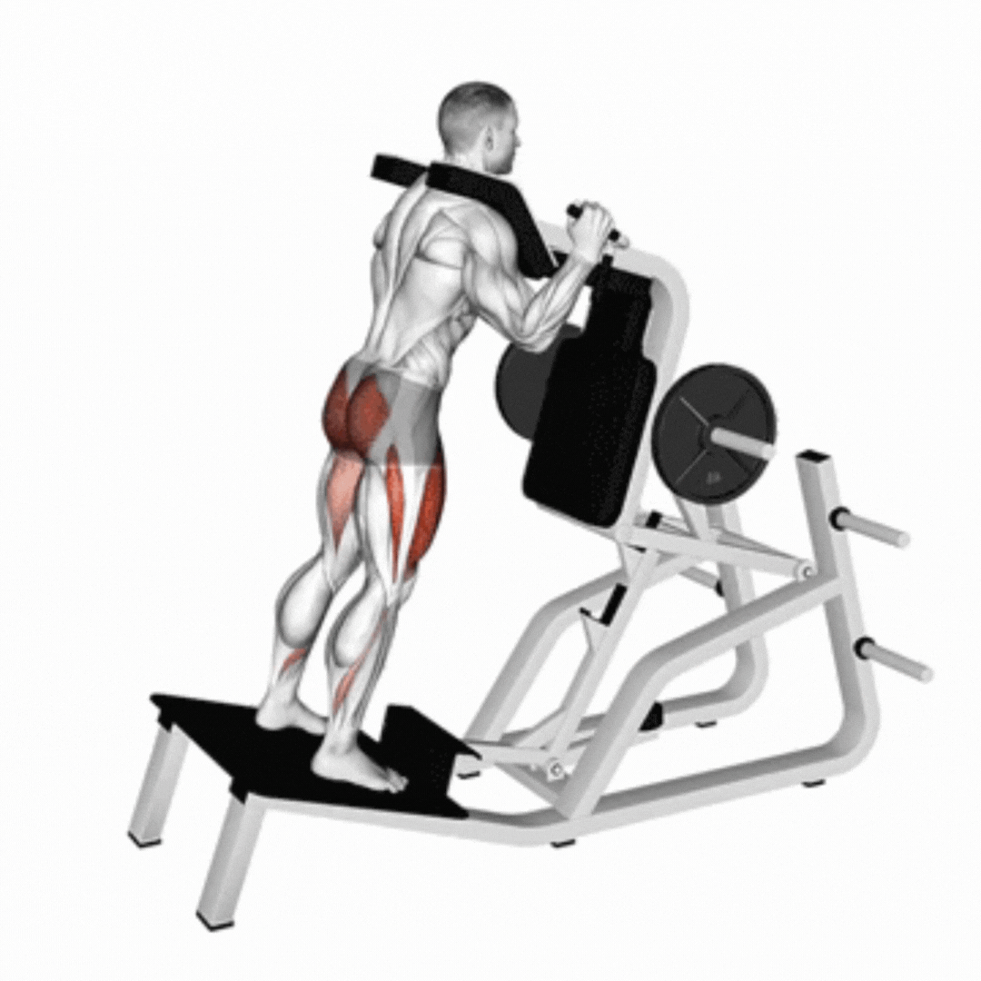 Reverse Hack Squat