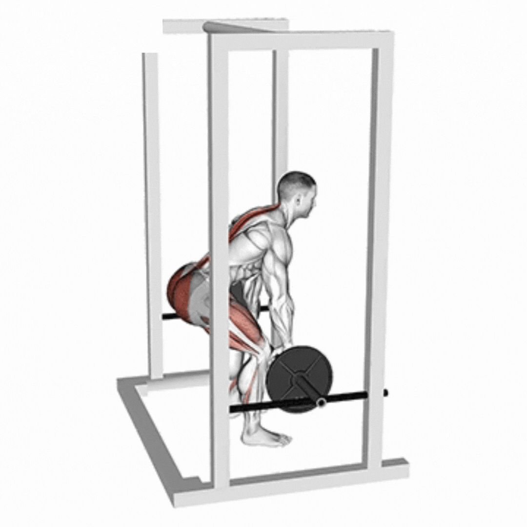 Barbell Rack Pull