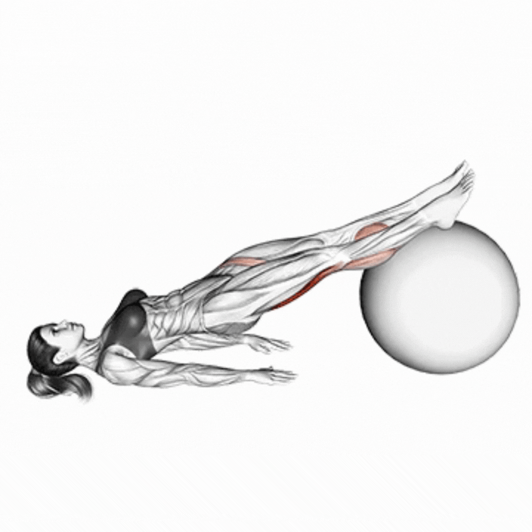 Leg Curl On Stability Ball