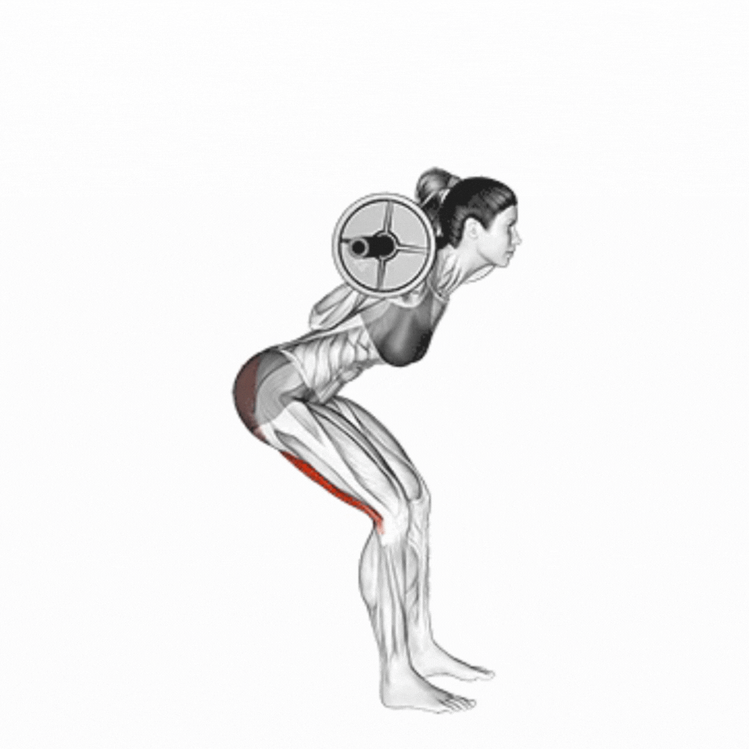Barbell Good Morning