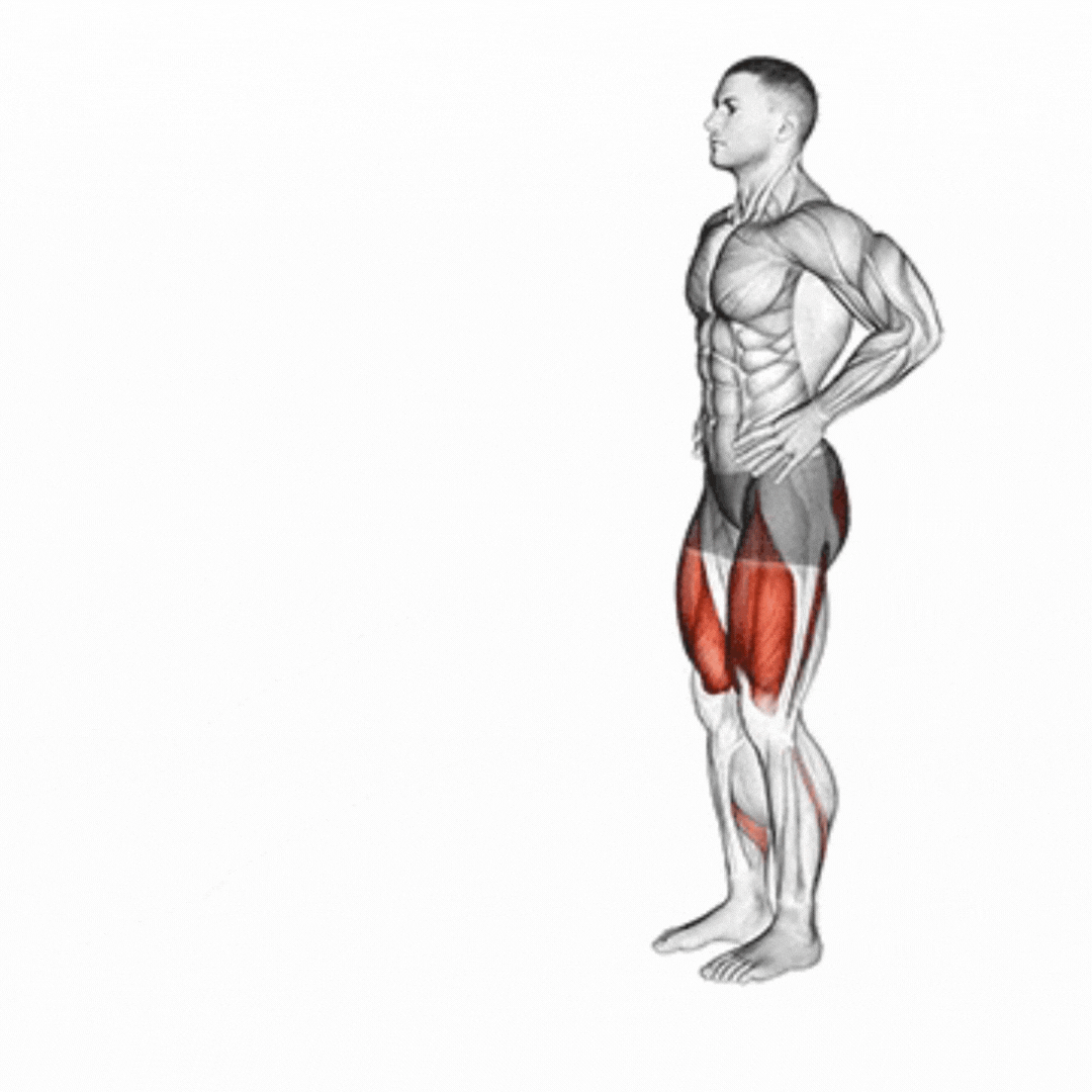 Bodyweight Lunge