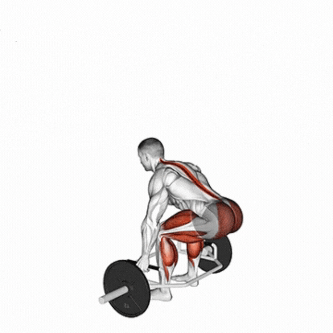 Trap Bar Jump Squat