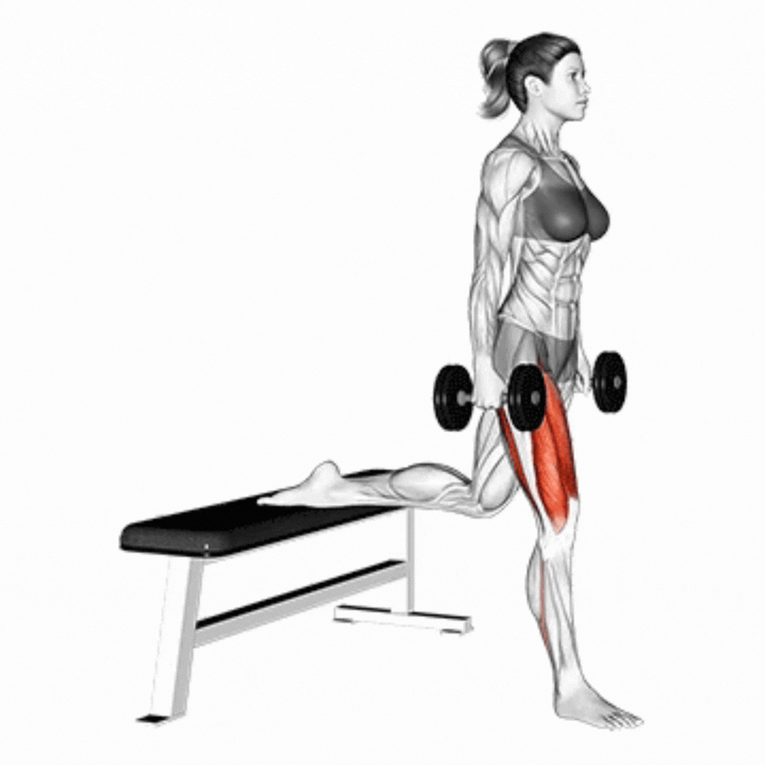 Dumbbell Bulgarian Split Squat