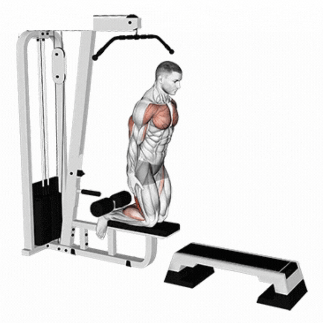 Nordic Hamstring Curl