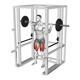 Anderson Squat