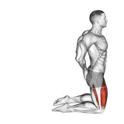 Bodyweight Sissy Squat