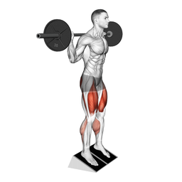 Heel Elevated Squat