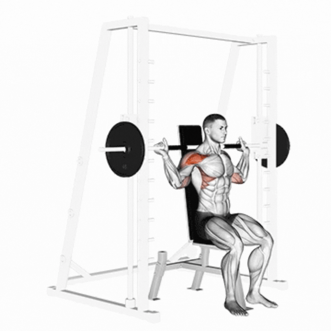 Smith Behind Head Shoulder Press
