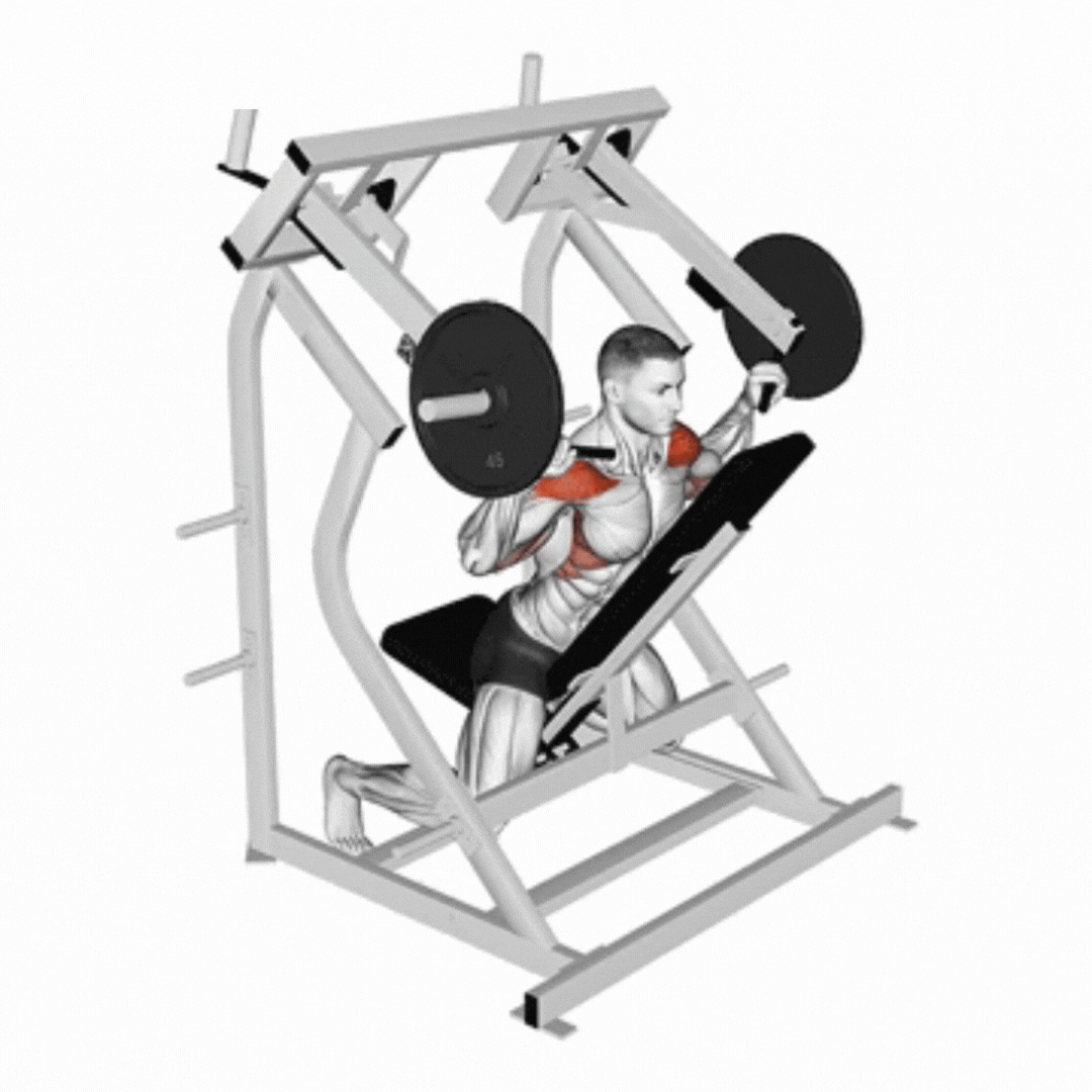 Lever Reverse Shoulder Press