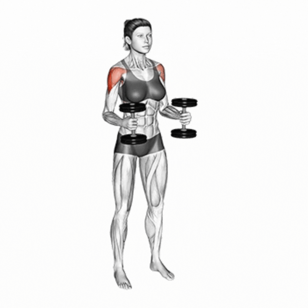 Dumbbell Bent Arm Lateral Raise