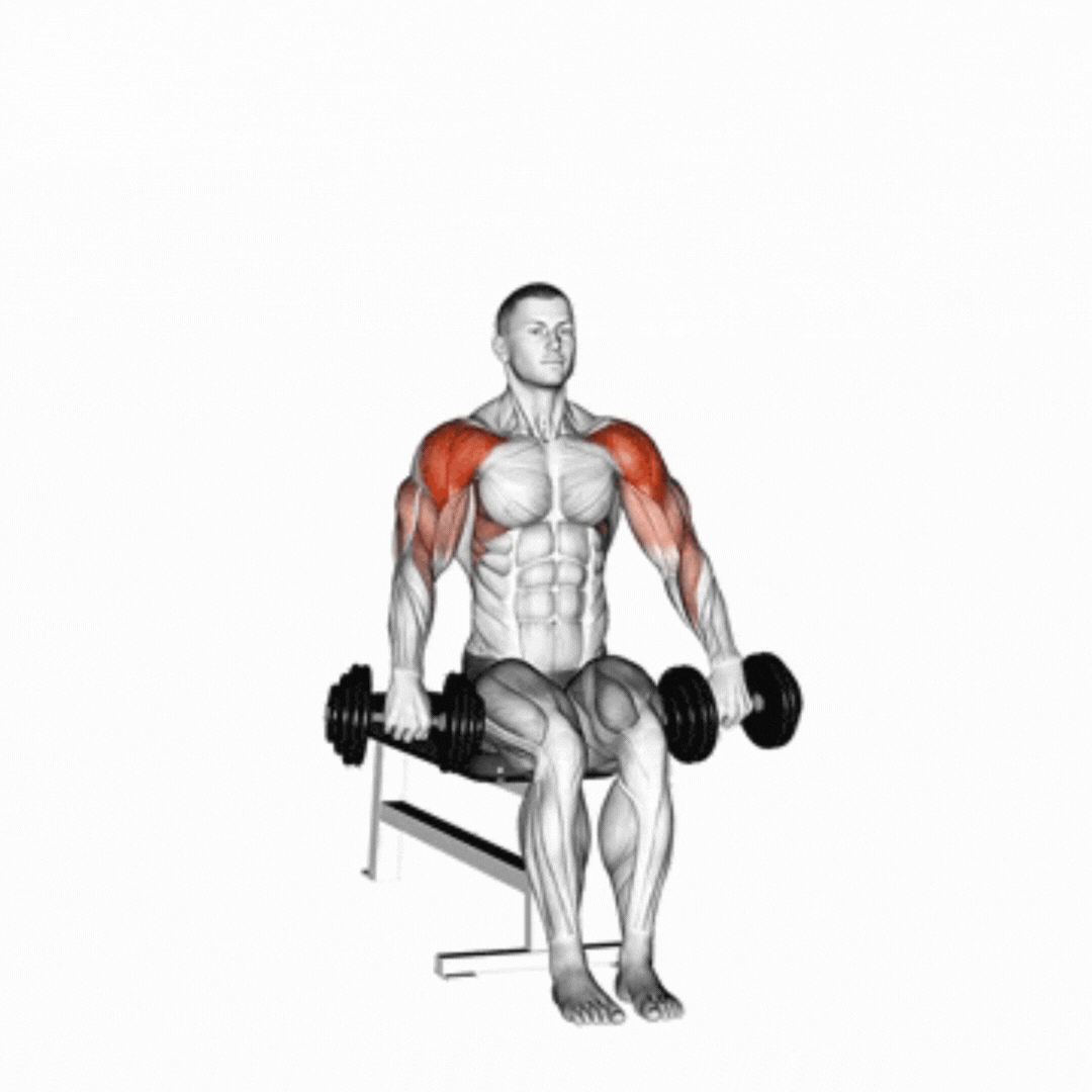 Dumbbell Seated Cuban Press