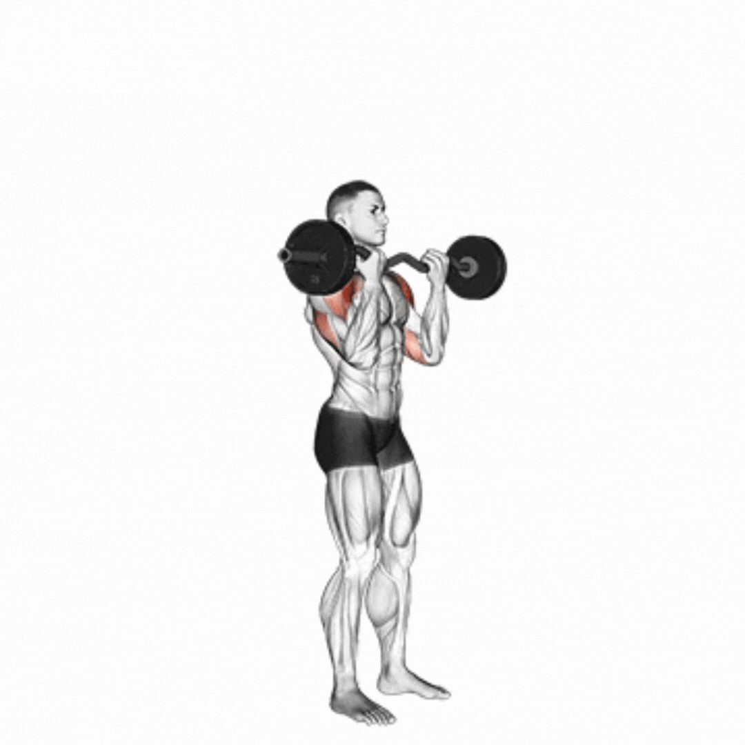 EZ-Bar Standing Overhead Press