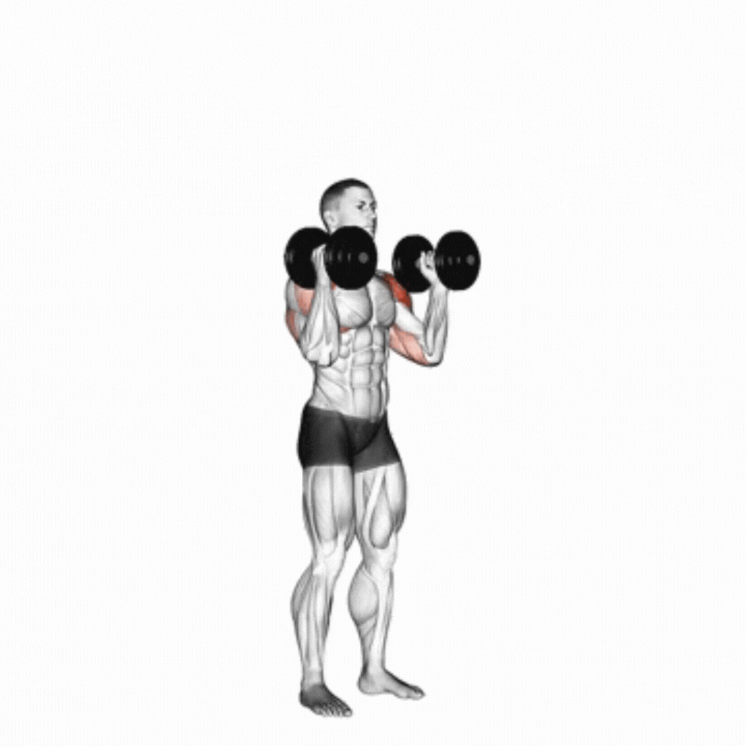 Dumbbell Standing Palms in Shoulder Press