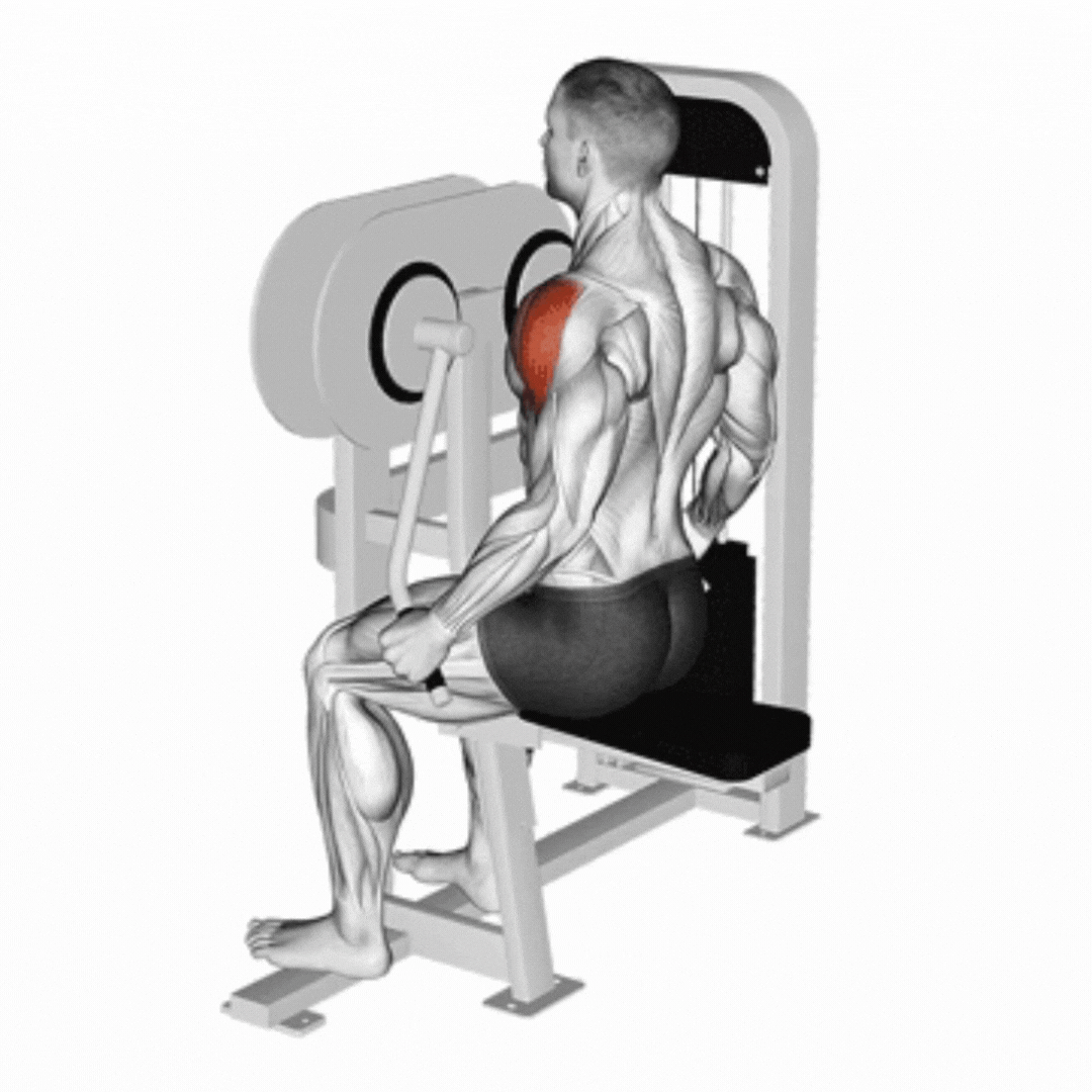 Lever Lateral Raise