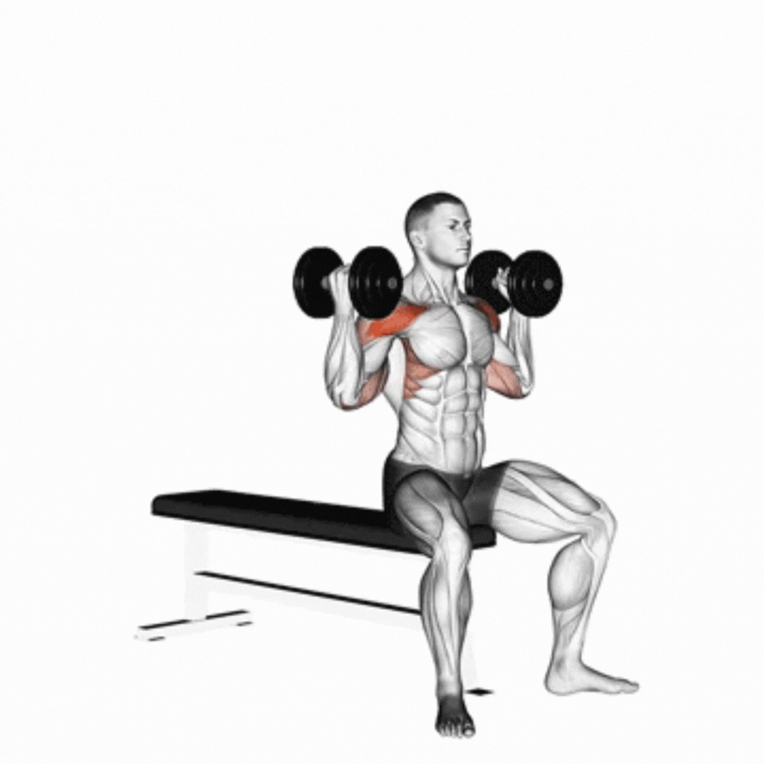 Seated Dumbbell Palms in Shoulder Press