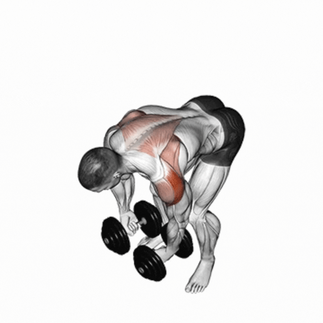 Bent-over Lateral Raise
