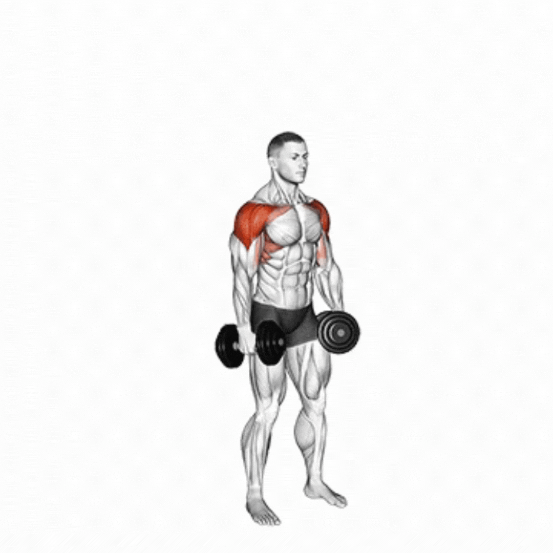 Dumbbell Lateral to Front Raise
