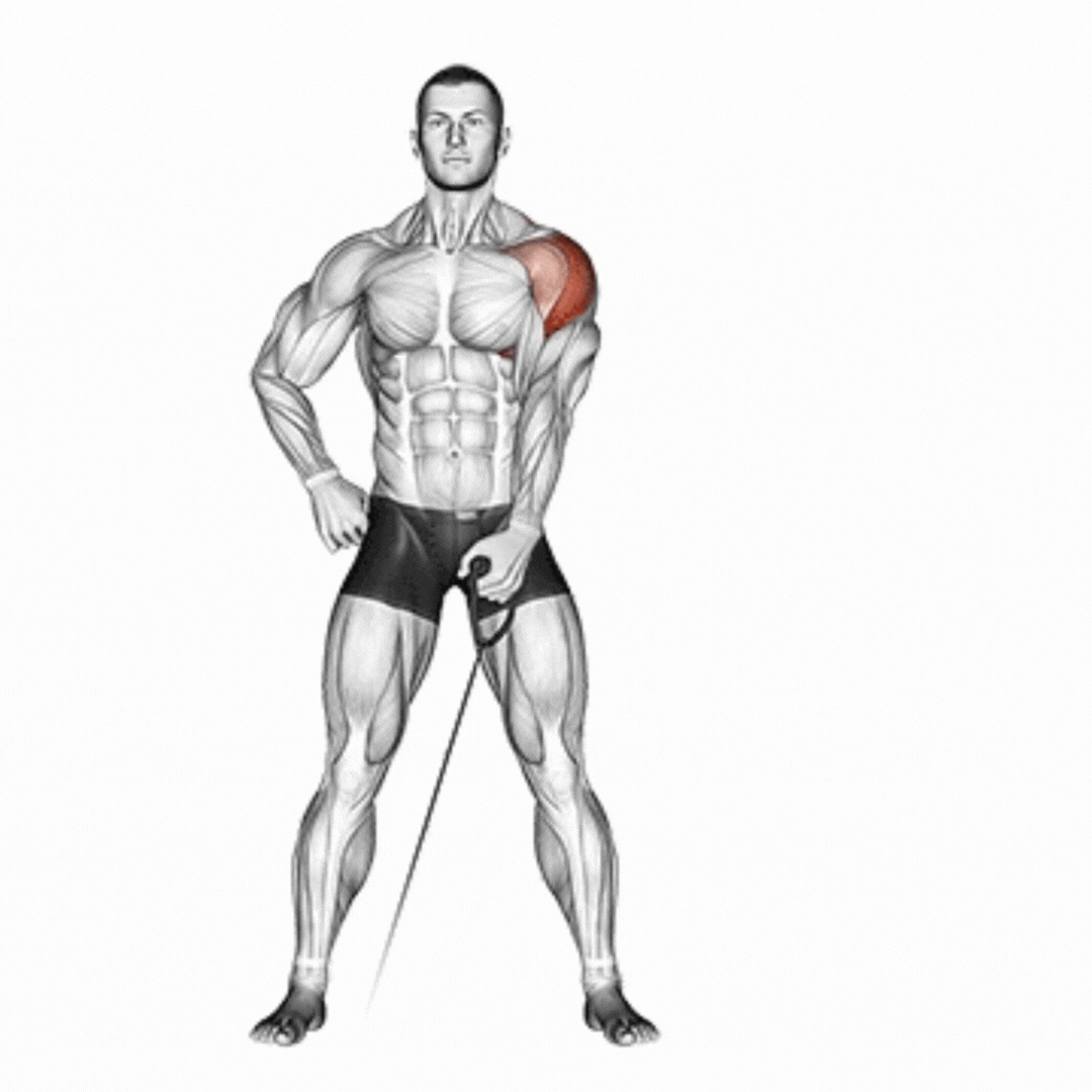 Cable Lateral Raise