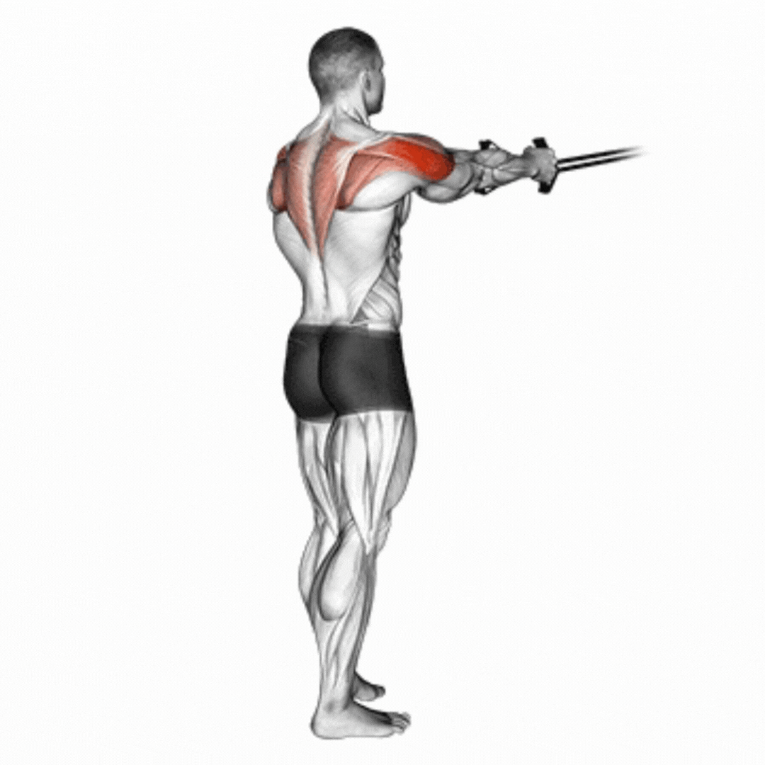 Cable Rear Delt Fly