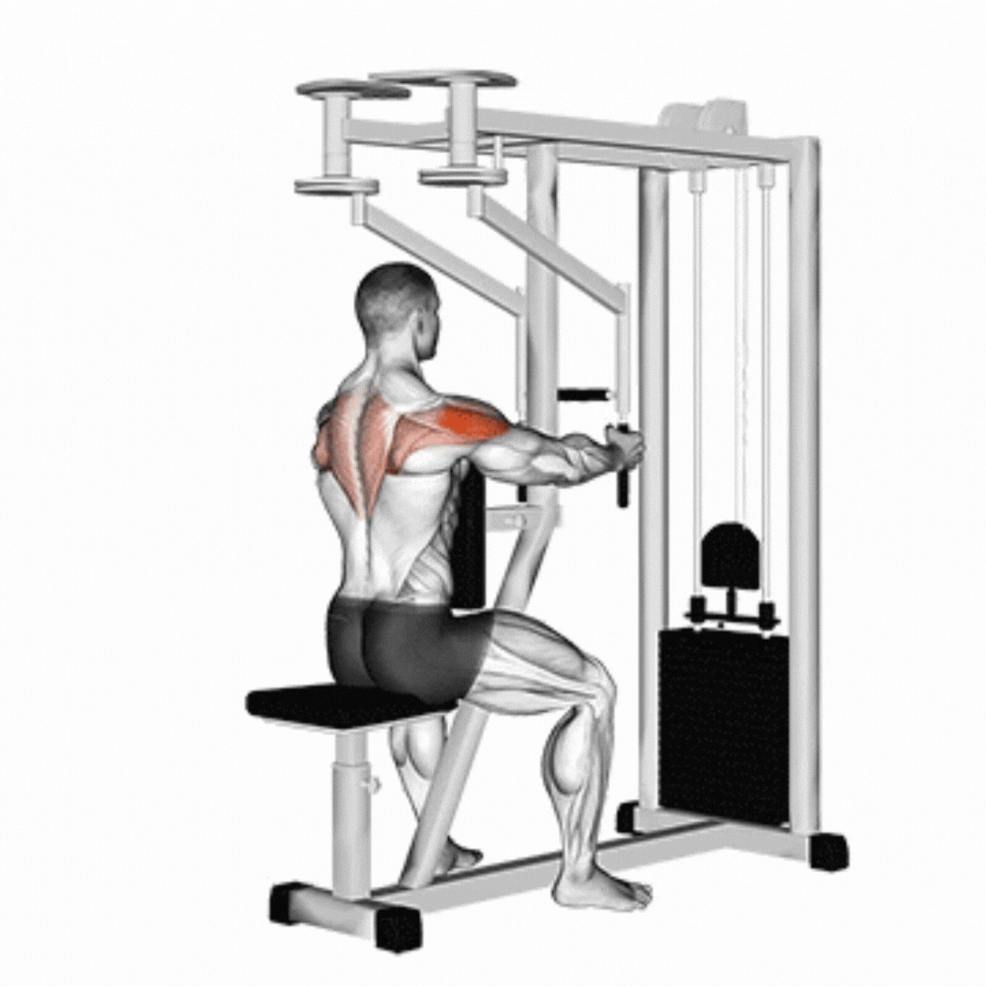 Lever Seated Reverse Fly